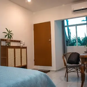 Cuca Macuca Auberge de jeunesse Puerto Morelos